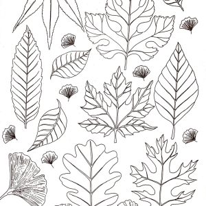 Calca Vitrificable para Porcelana 23x33, Diseño 163