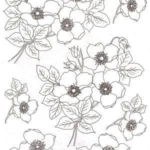 Calca Vitrificable para Porcelana 23x33cm, Diseño 170