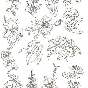 Calca Vitrificable para Porcelana 23x33cm, Diseño Número 181