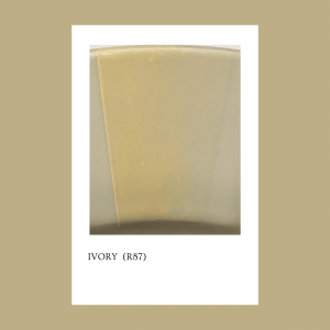 Pigmento Ivory (R87) 5 gr