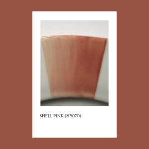 Pigmento Shell Pink 5 gs.